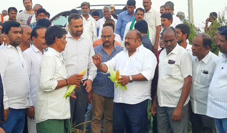 BC Welfare Minister G Kamalakar interacting with rain affected farmers in Durshad of Karimnagar rural mandal on Saturday