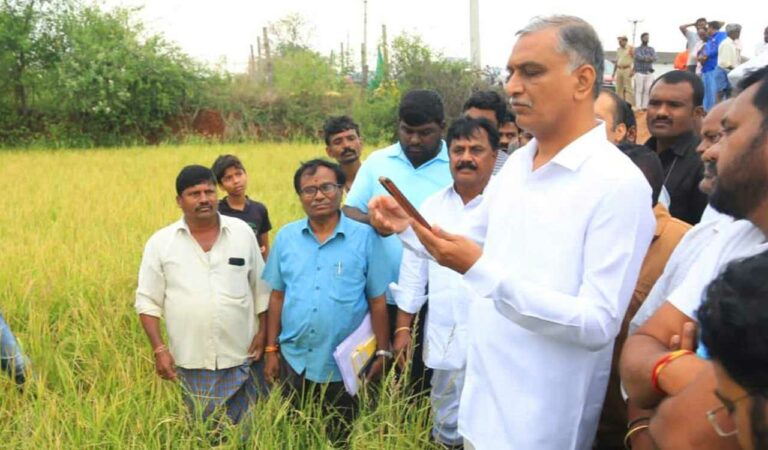 Siddipet Harish Rao Inspects Crop Damage, Assures Compensation .