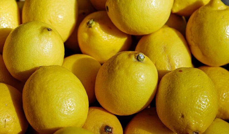 Lemon farmers