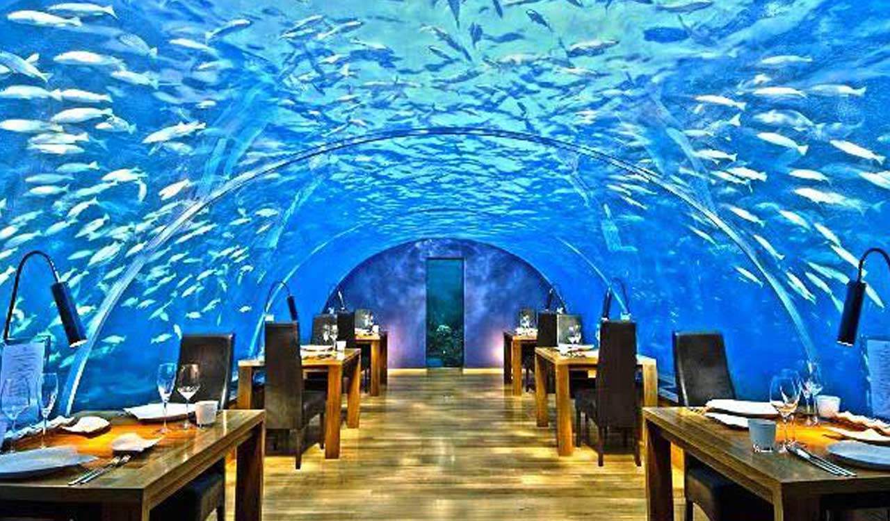 India’s largest tunnel aquarium ‘Aqua Marine Park’ to come up in Hyderabad