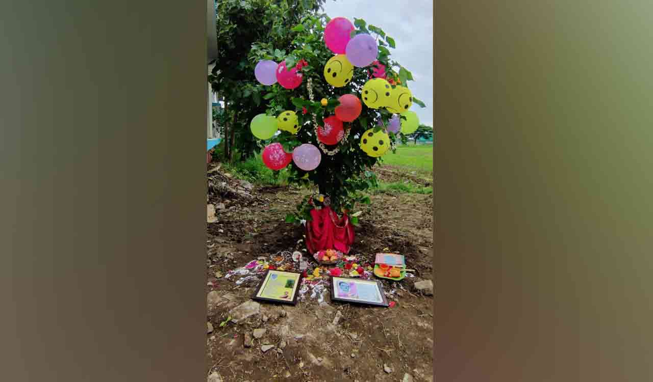 Grieving widow finds solace and last memory of husband in tree