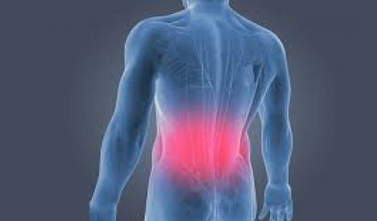 spinal wellness