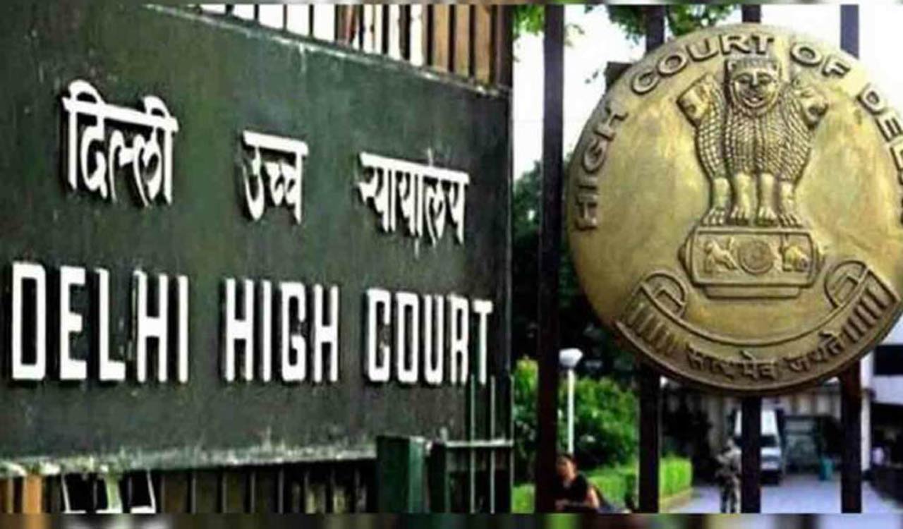 Go First can’t fly lessors’ aircraft as of now: Delhi High Court