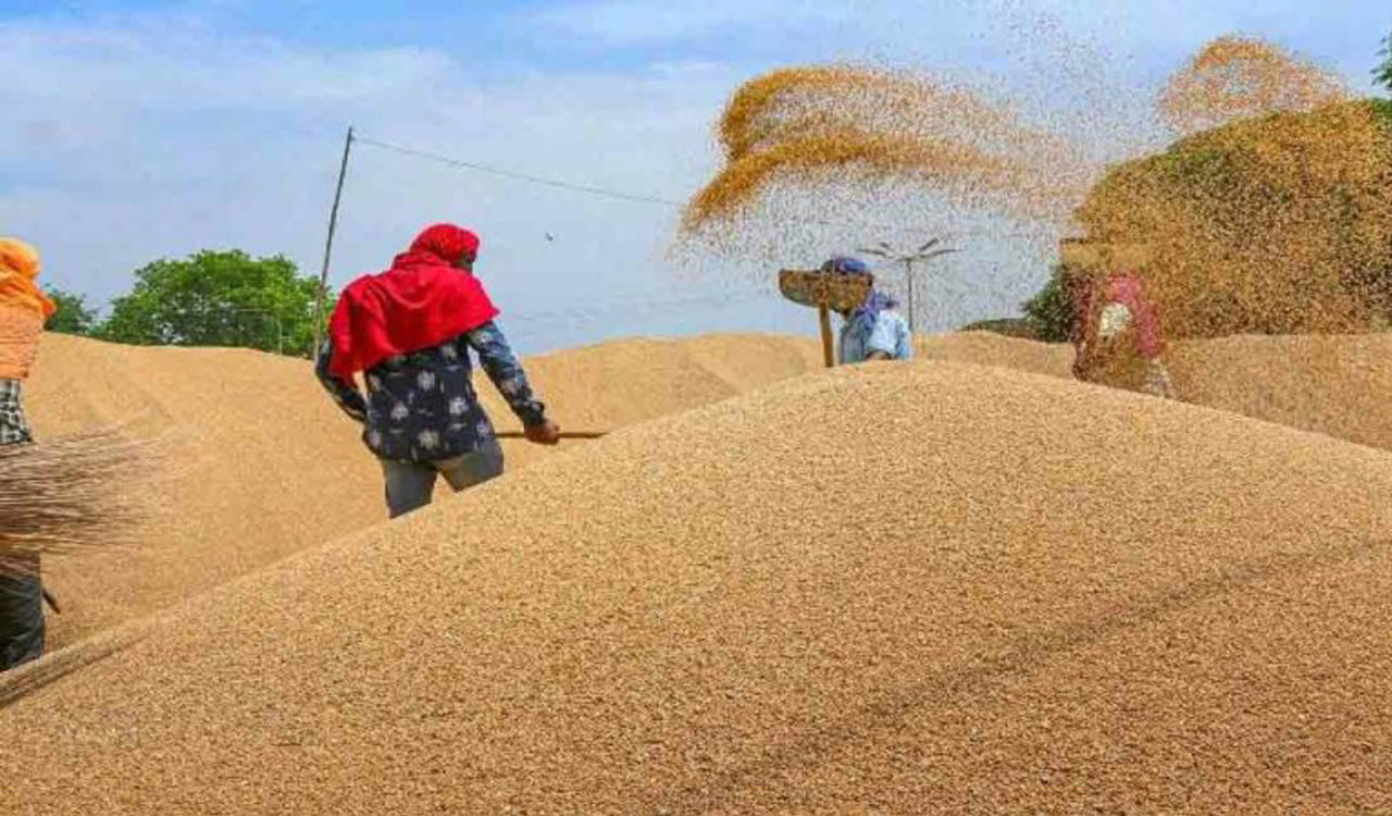 Government sells 18.09 lakh metric tonnes wheat through e-auctions to stabilize prices