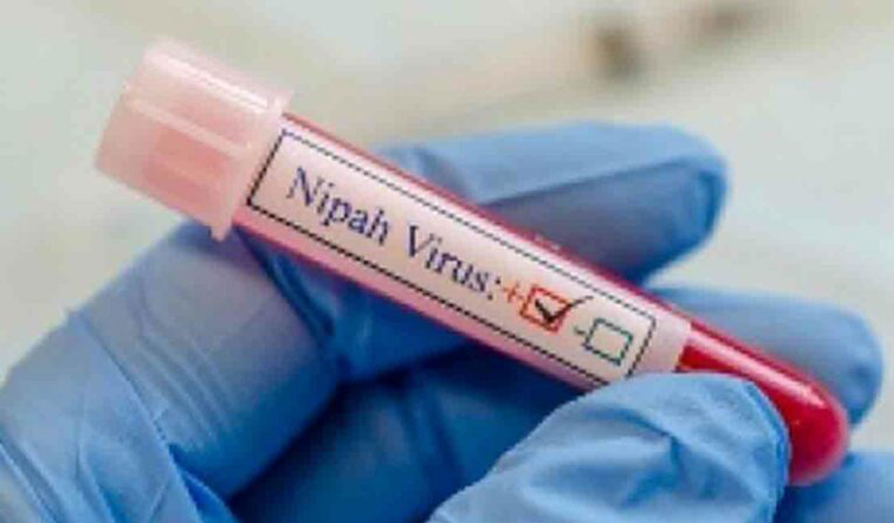 Rajasthan issues alert for medical officials in wake of Kerala Nipah outbreak
