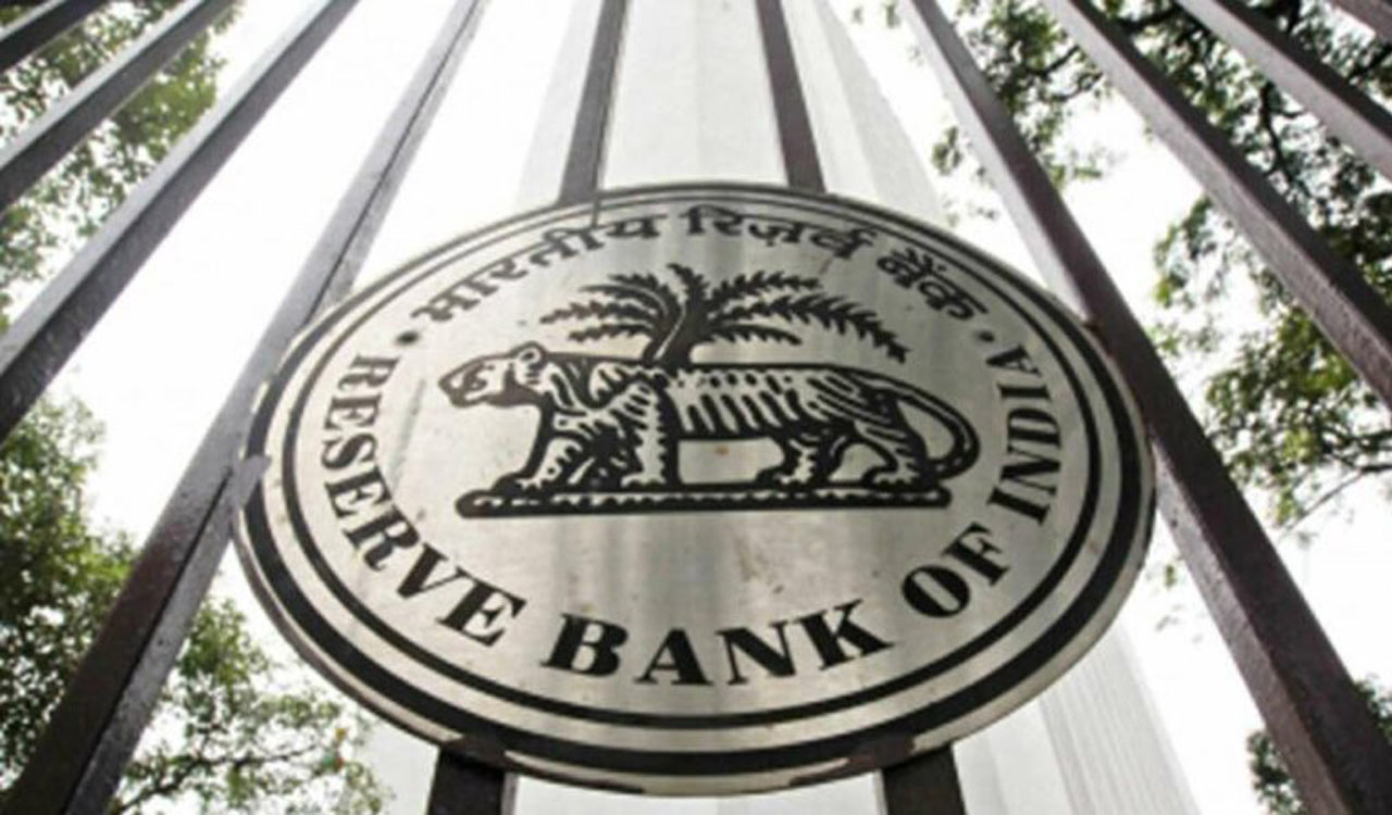 RBI mulls handing over frictionless credit platform to private company: Das