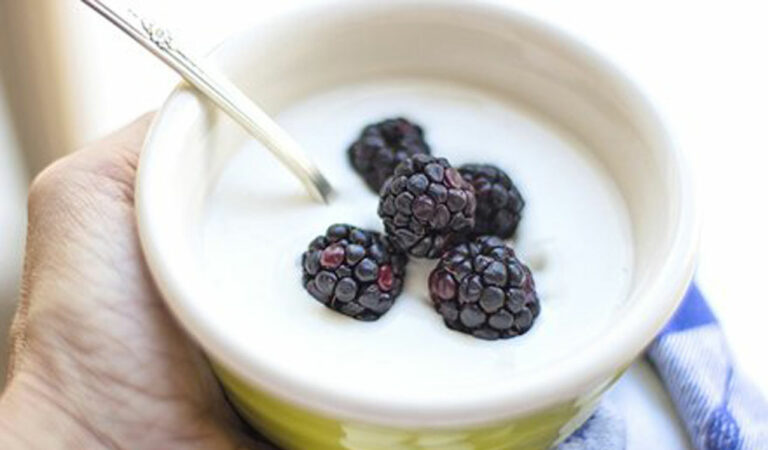 Yogurt 5