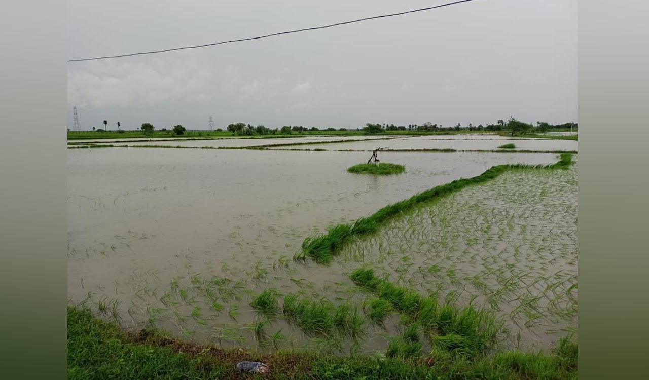 Parts of Adilabad, Asifabad see light to moderate rains