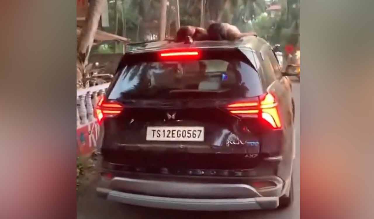 Watch: Unruly Telangana tourist in Goa drives SUV with kids asleep on roof