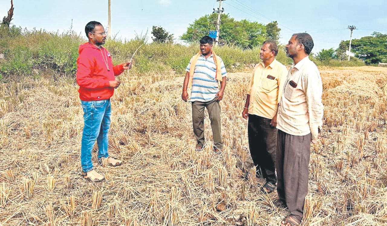 Siddipet farmers experiment with decomposing of stubble to enrich soil health