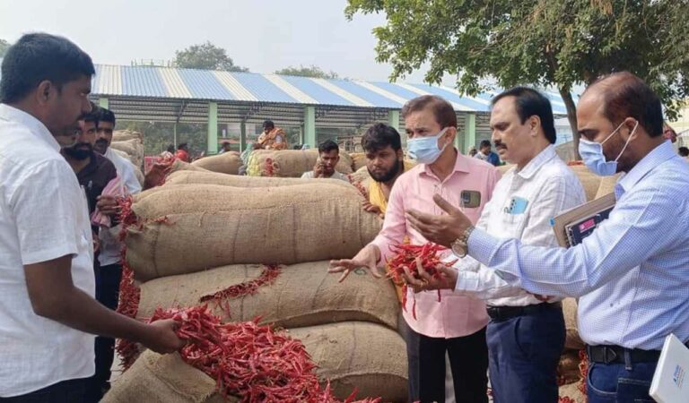 Fall in chilli prices, Khammam district administration takes remedial measures