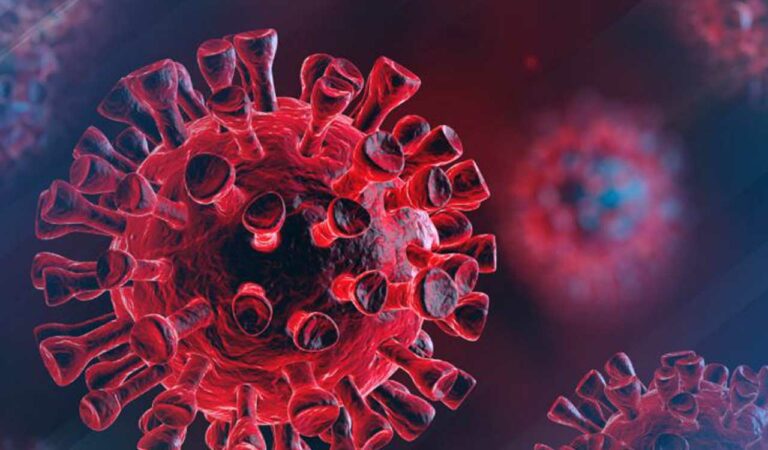 common cold virus enhances immune system against covid 19