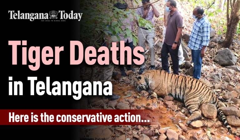Tiger Death