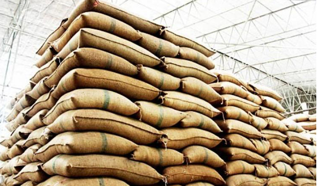 Paddy procurement: 1479 purchase centres opened