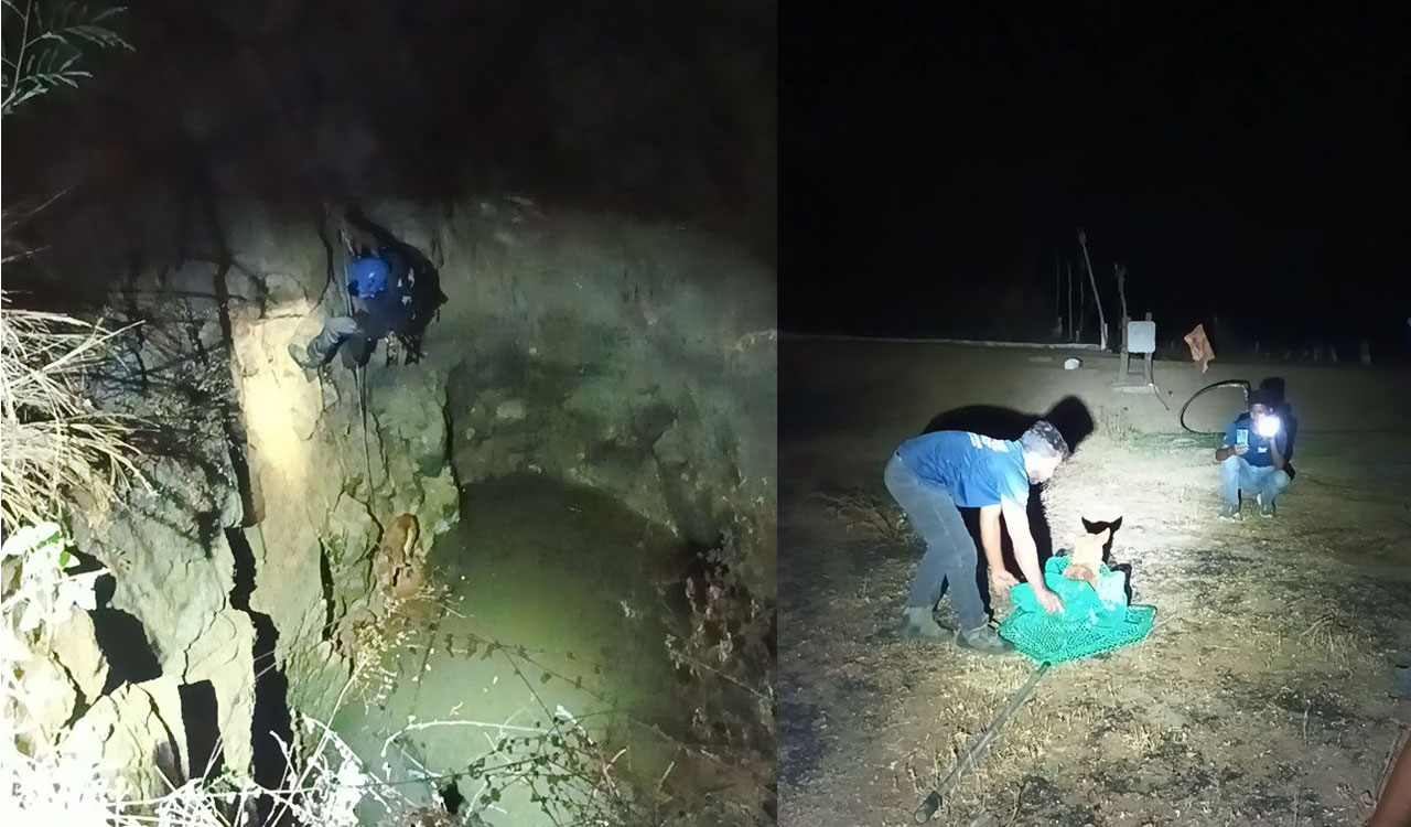 Hyderabad youth travel 100+ kilometers to rescue dog trapped in well for 3 days