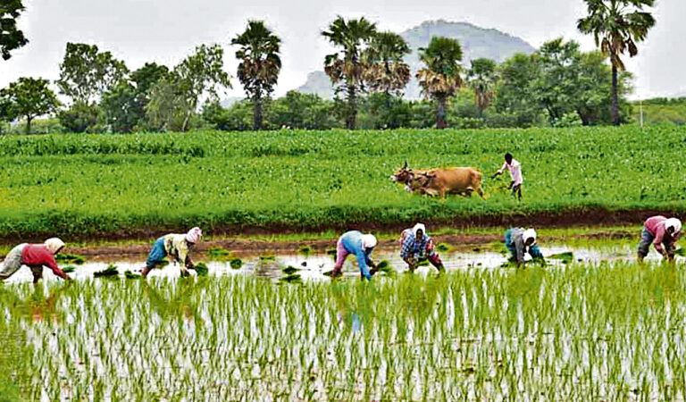 Rythu Bandhu paid to 92.68 percent farmers: Minister