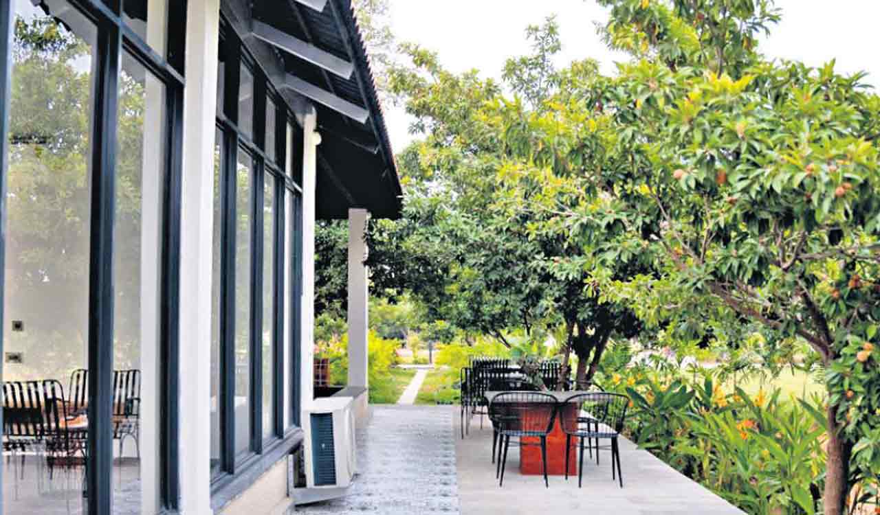 Now take a tour at Hyderabad’s first Vineyard and Resort, Sera