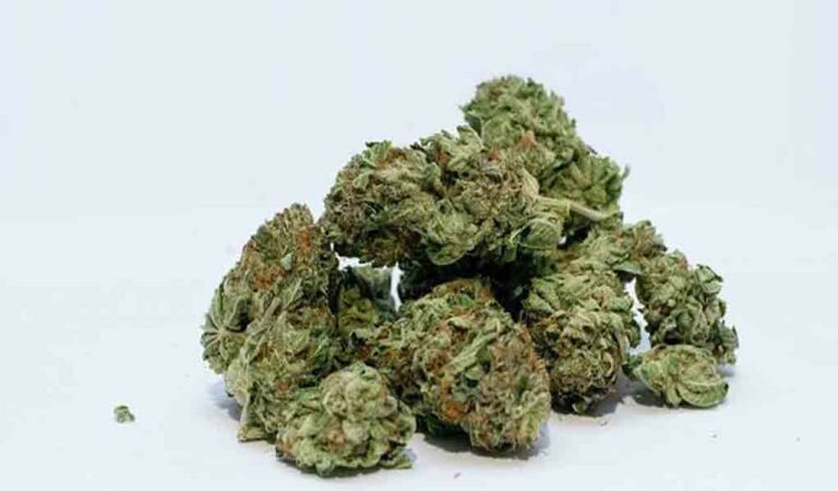 Hyderabad: Man held with 120 kgs marijuana