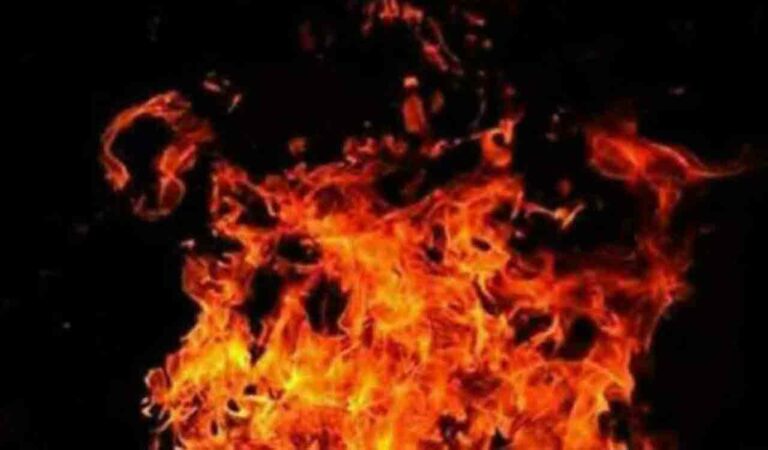 Hyderabad Car Catches Fire At Badangpet