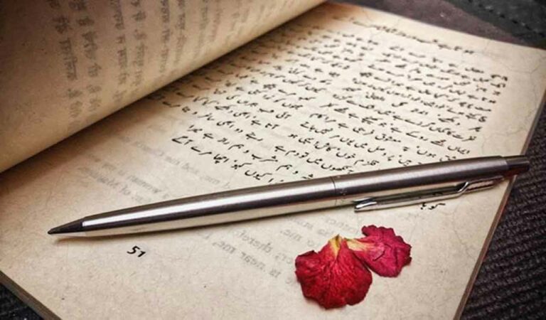Now learn Urdu – the language of poets and dreamers