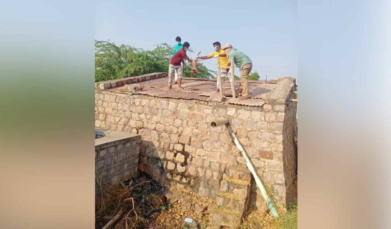 Telangana: 30 monkeys found dead in water tank in Nalgonda