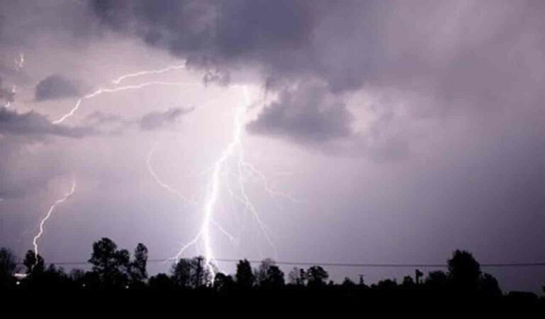 Thunderstorms Forecast For Parts Of Andhra Pradesh