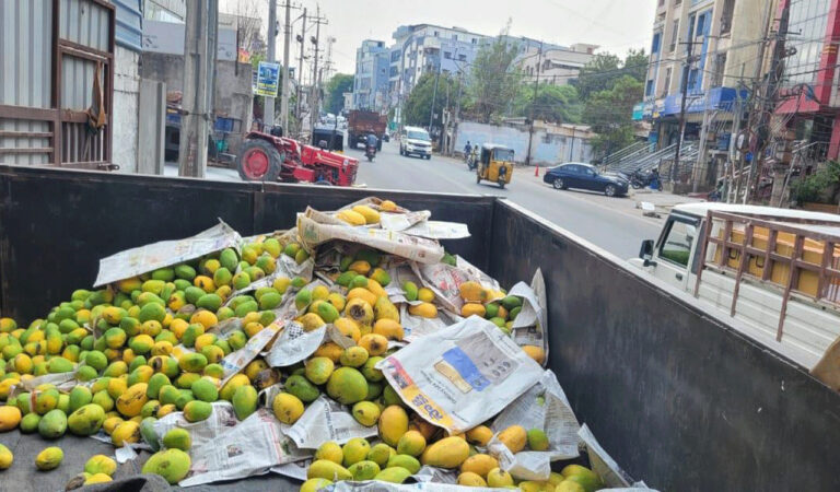 Fruit vendors under watch for violations
