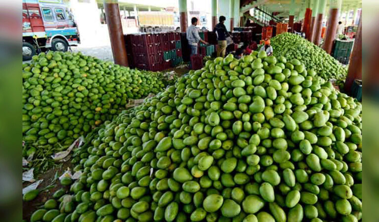 FSSAI inspects Kothapet fruit market