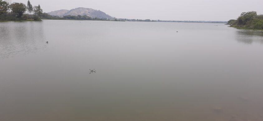 Ramasamudram Cheruvu stands out in summer with brimming water