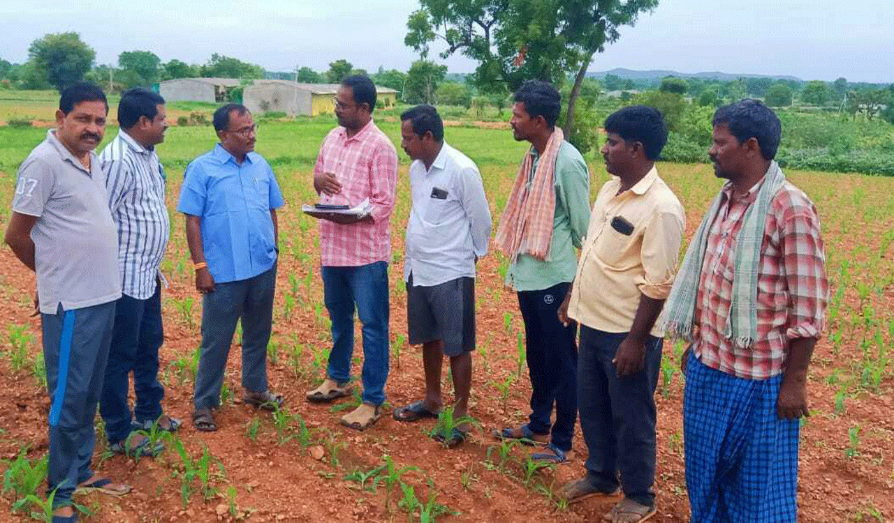 Digital survey of crops on to create a database of crops in TS