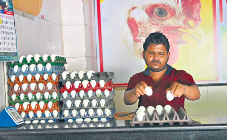 Egg prices in Hyderabad burn a hole in pocket